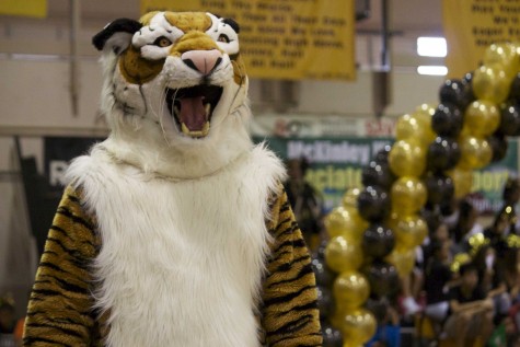 Spirit Roars 150