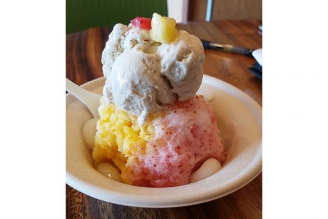 Dream comes true for local shave ice store owner