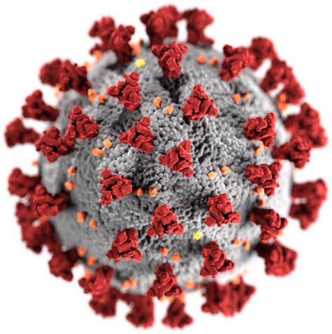 This illustration, created at the Centers for Disease Control and Prevention (CDC), reveals ultrastructural morphology exhibited by coronaviruses.