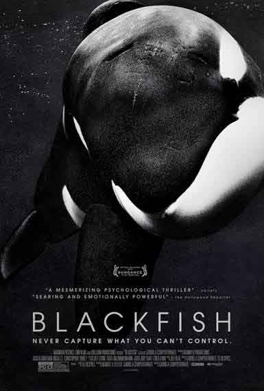 Blackfish Movie Review