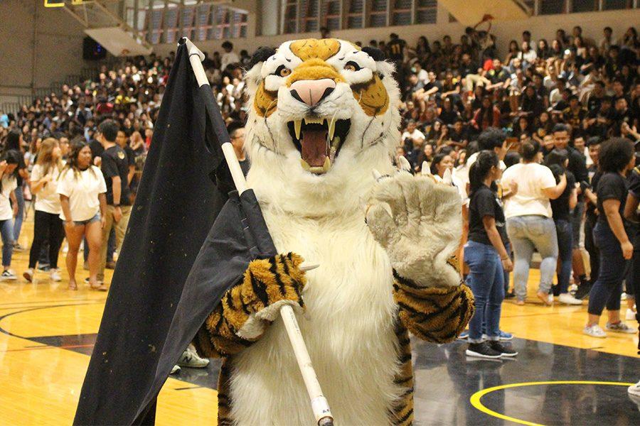 MHS Tiger welcomes students and staff to this years Homecoming Assembly.