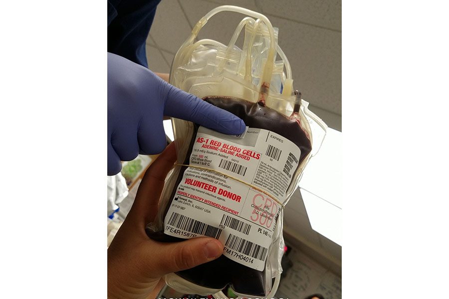 One+pint+of+blood+was+collected+from+each+donor.+The+November%0D%0Adrive+brought+in+87+pints.+If+you+donated+and+want+to+find+out+your%0D%0Ablood+type%2C+call+the+Blood+Bank+of+Hawaii.+Photo+by+Anela+Chavez.
