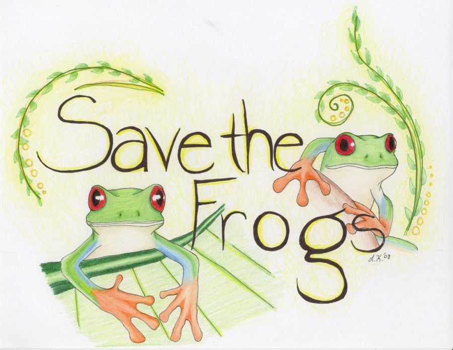 World Frog Day will be on March 20, save the frogs!