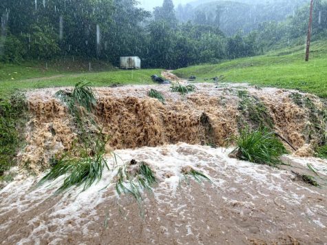 Senior Jordan Sequin lives on aAbanana farm in Waiahole Valley and shared this photo of the flooding.