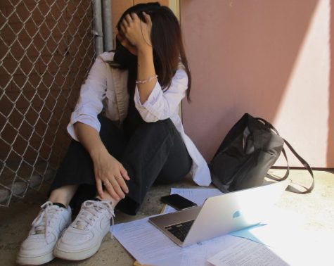 Burnout is a common issue in high schools and its important others are aware they are not alone, whether facing it themselves or helping another student.. Staged photo taken by Jade Bluestone of Sophia Dang