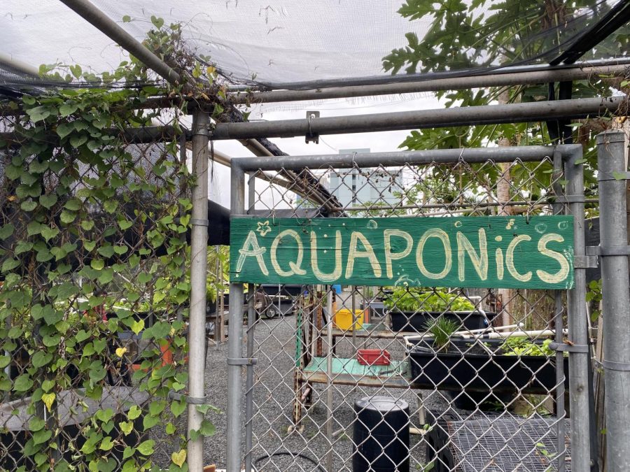 Entrance to covered portion of McKinleys aquaponic area. Photo by Jade Bluestone.