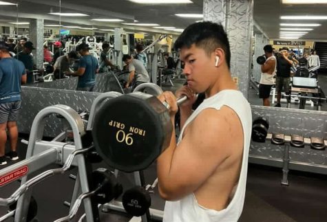 Senior Allen Reyes curling 60 pounds at 24 Hour Fitness.  The Pinion sent out a poll asking about the gym experience. Out of 240 responses, 148 people said that they work out. Of those people, 24% work out about 3 or more times a week. 22.5% work out at a gym and 24% weightlift. 