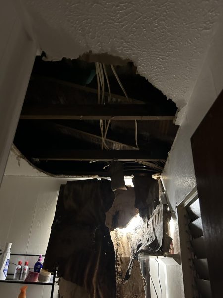 Shunya Ku'ulei Arakaki's master bathroom ceiling cakes in due to storm, revealing mold and gunk.
Photo by: Shunya Ku'ulei Arakaki